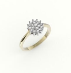 Gouden ring met diamanten in witgouden zetting.