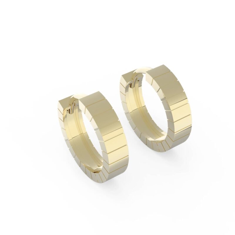 Gouden ronde oorbellen met ladder design.