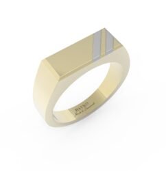 Gouden zegelring met rechthoekige zegel en witgouden decoratie.