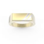 Gouden zegelring met rechthoekige zegel en witgouden decoratie.